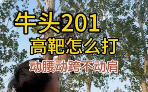 Download Video: 牛头201，高靶怎么打？