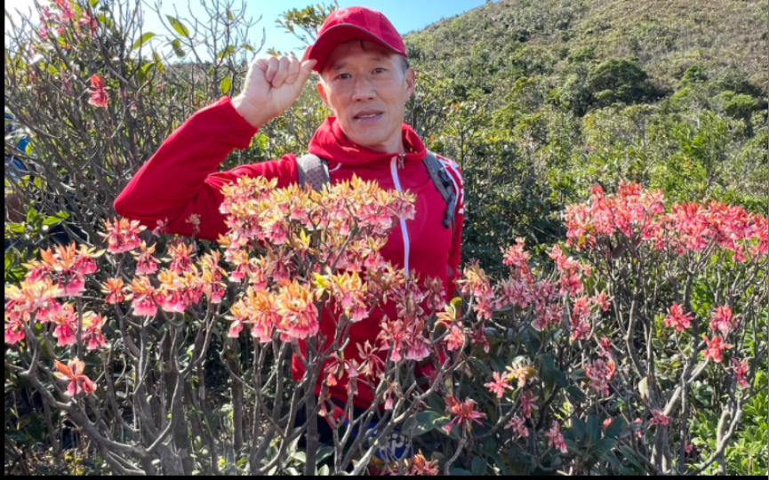 [图]大腸洞+大枕蓋嘗花之旅