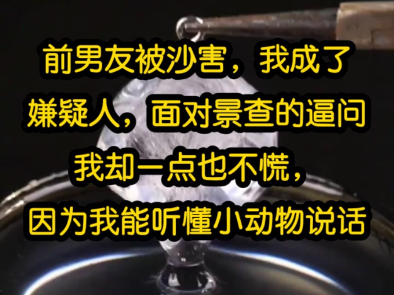 前男友被沙害,我成了嫌疑人,面对景查的逼问,我却一点也不慌,因为我能听懂小动物说话,从麻雀口中大致知晓案件过程哔哩哔哩bilibili