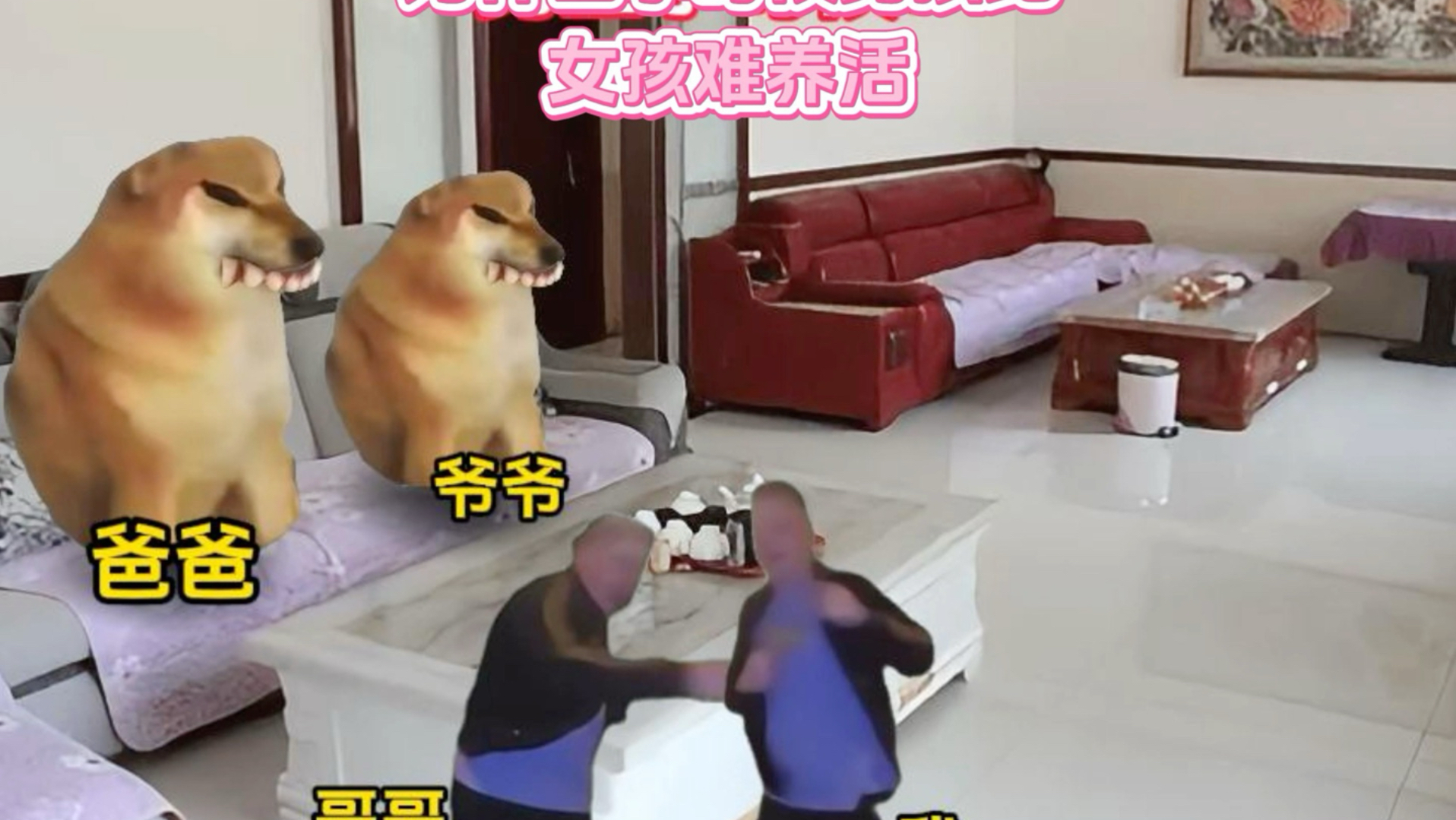 为什么小时候男孩比女孩难养活