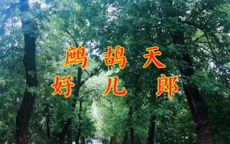 诗词欣赏:无语者《鹧鸪天ⷮŠ好儿郎》哔哩哔哩bilibili