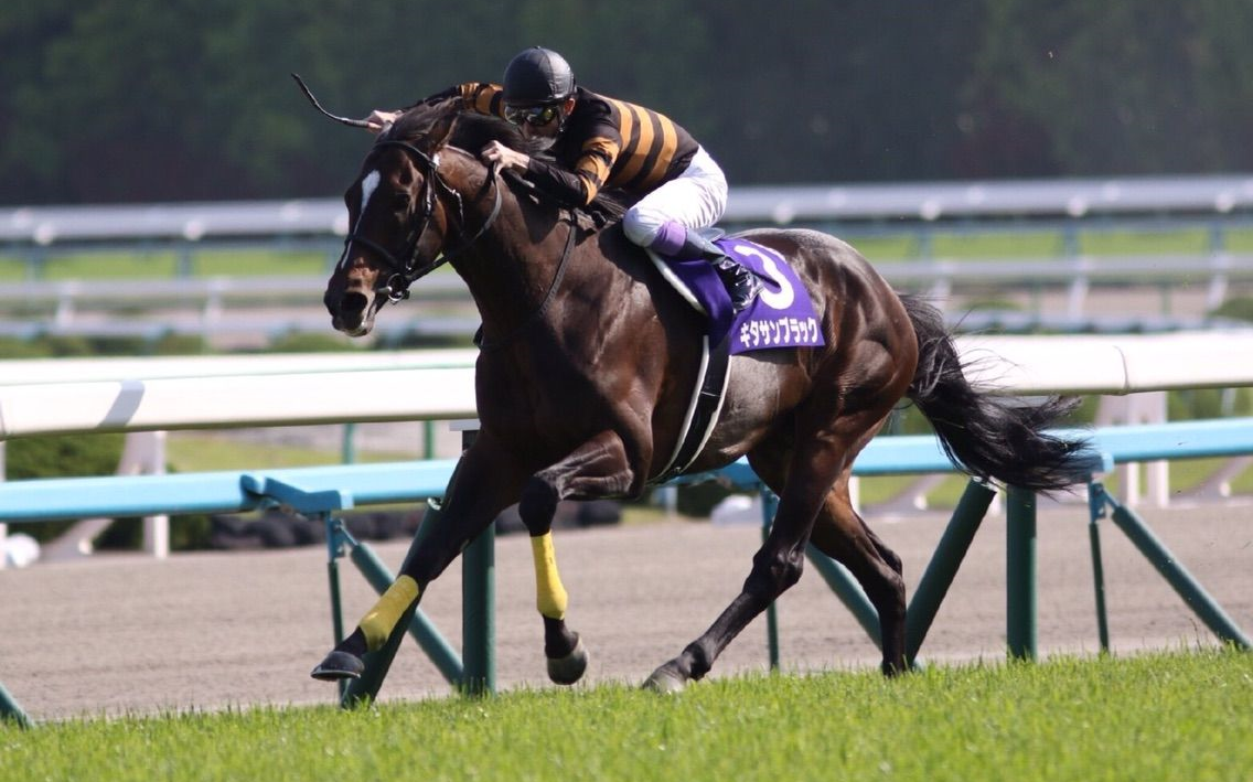 【赛马】天皇赏(春)(gⅠ)赛事纪录 kitasan black(北部玄驹)_哔哩哔哩