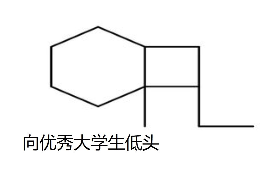 【小化学里大世界】做一只乖乖的大学生吧!小化学君带你学懂有机化学化学桥环烃的命名,老师再也不用担心我的有机了!哔哩哔哩bilibili