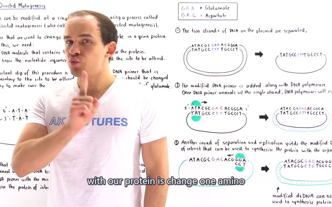 [分子克隆] 如何进行定点突变(SiteDirected Mutagenesis)引物设计哔哩哔哩bilibili