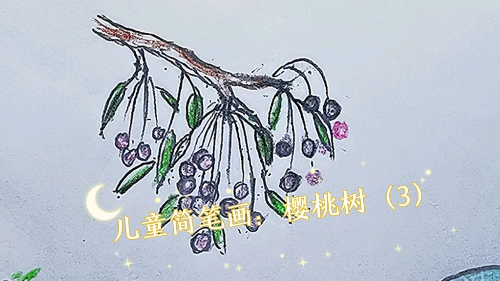 儿童简笔画:樱桃树(3)