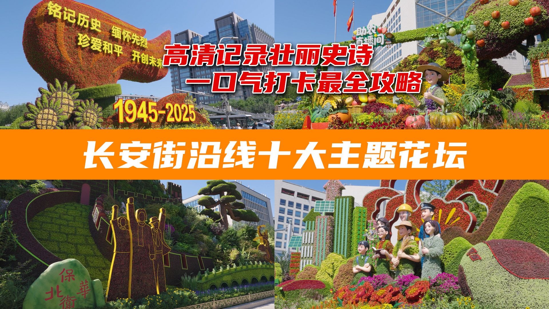 抗战胜利80周年 带你打卡长安街沿线十大主题花坛 | 附详细位置说明【4K高画质】