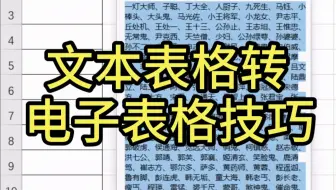 Excel文本表格转电子表格技