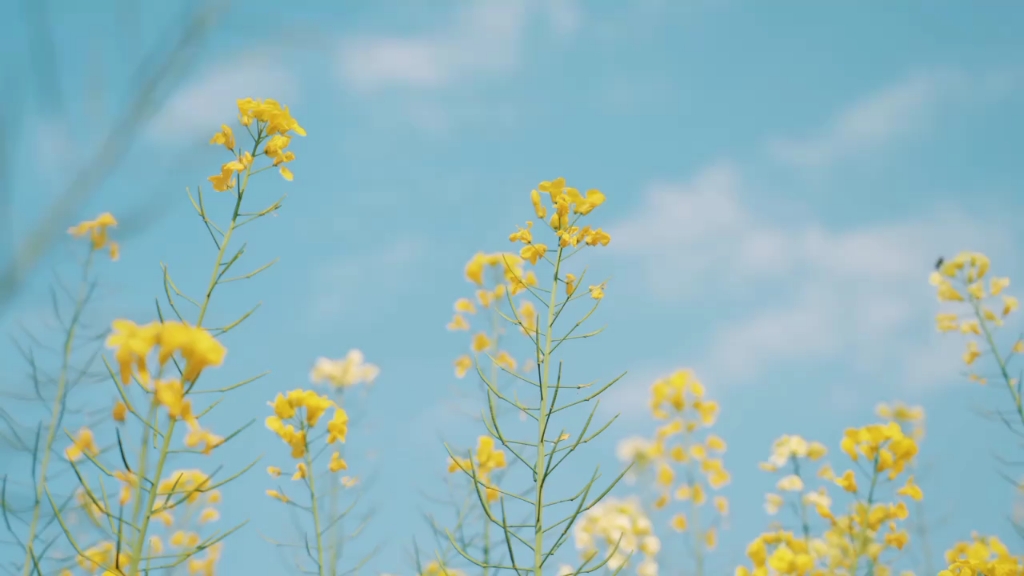 四种人不宜练八段锦,今天你练了吗?哔哩哔哩bilibili