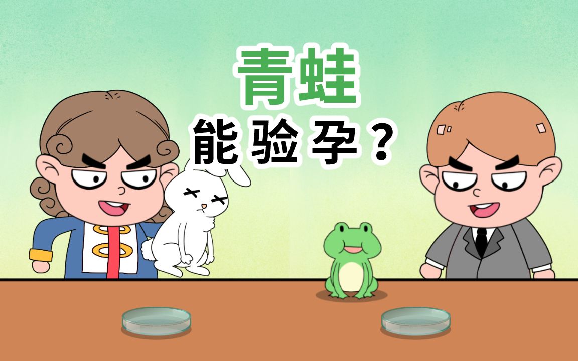 青蛙可以验孕?哔哩哔哩bilibili