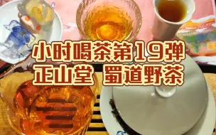 Download Video: 小时喝茶第19弹——正山堂蜀道野茶