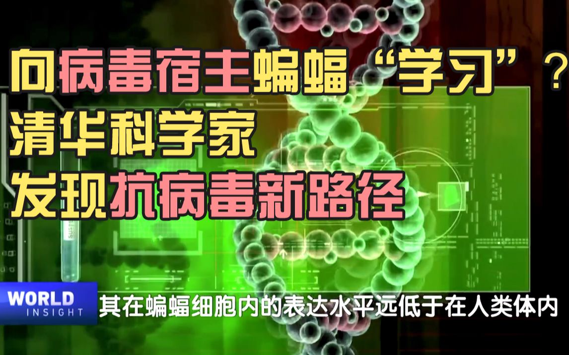 向病毒宿主蝙蝠“学习”?清华科学家发现抗病毒新路径哔哩哔哩bilibili