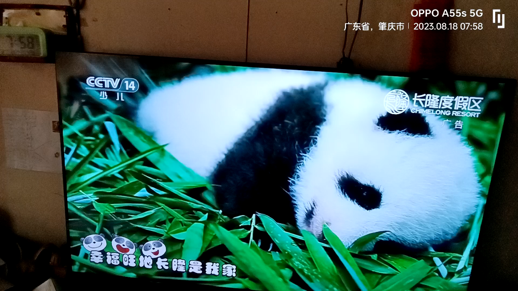 CCTV14少儿频道 长隆度假区 熊猫 45秒广告1哔哩哔哩bilibili