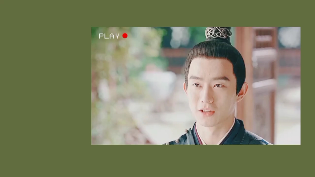 锦心似玉冬青傅大人系列