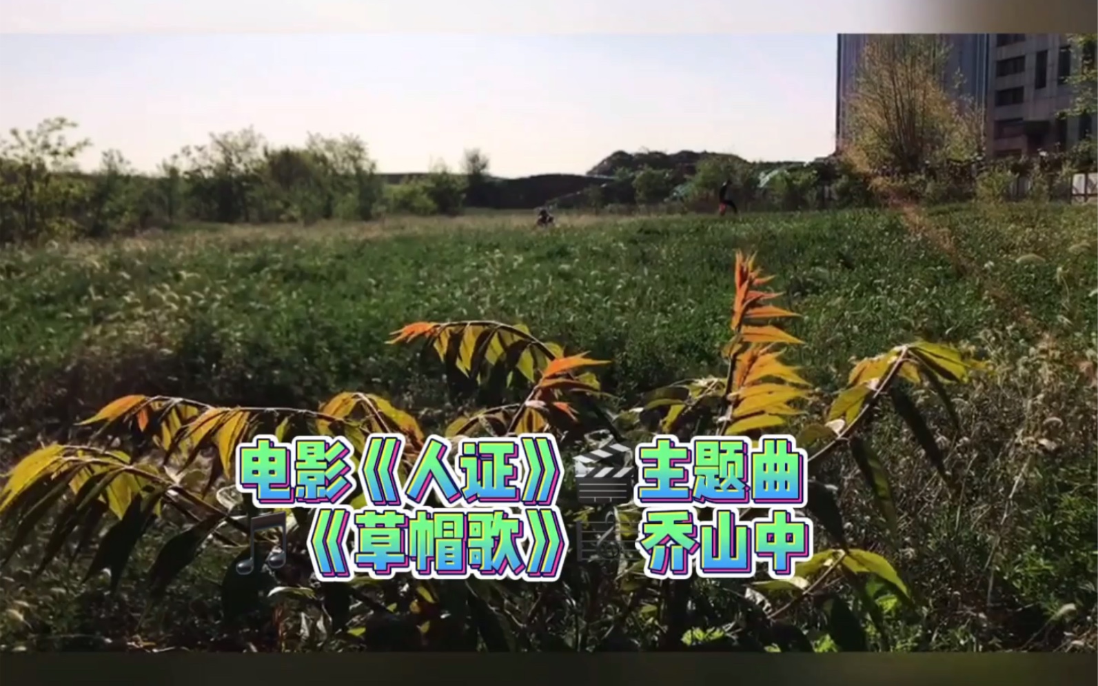 日本电影《人证》主题歌曲 《草帽歌》乔山中 大连高新区凌水湾海岸