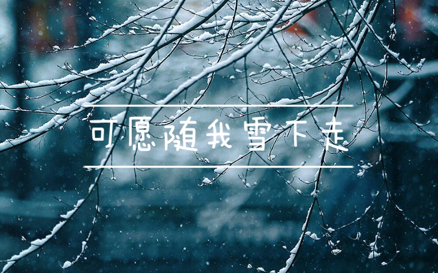 [图]刹那间，雪落人间