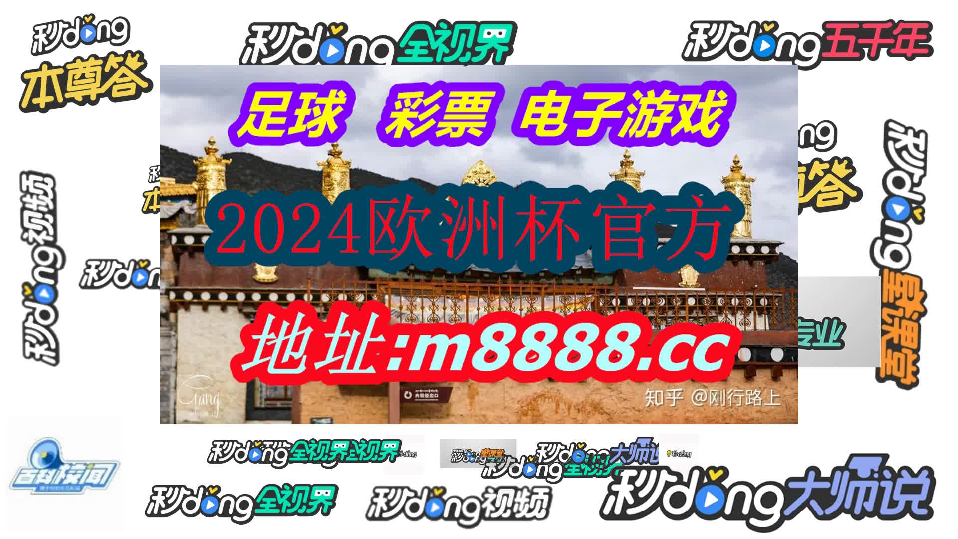 2022全年资料曾女士图片