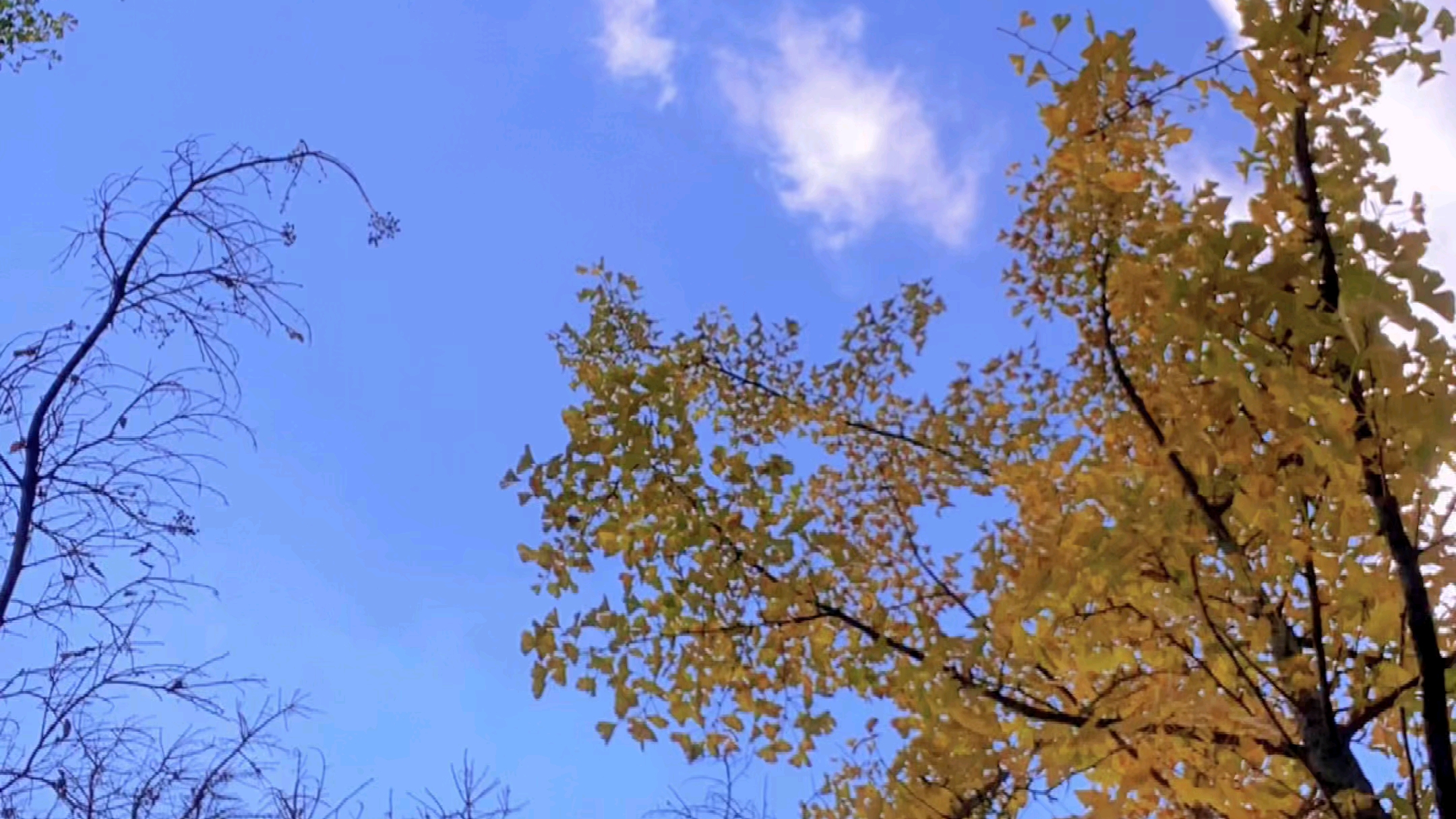 大气污染受到控制下的蓝天,真的让人心情愉悦且解压.