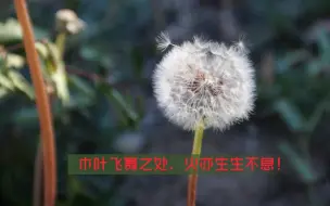 Video herunterladen: 被起手了?别慌