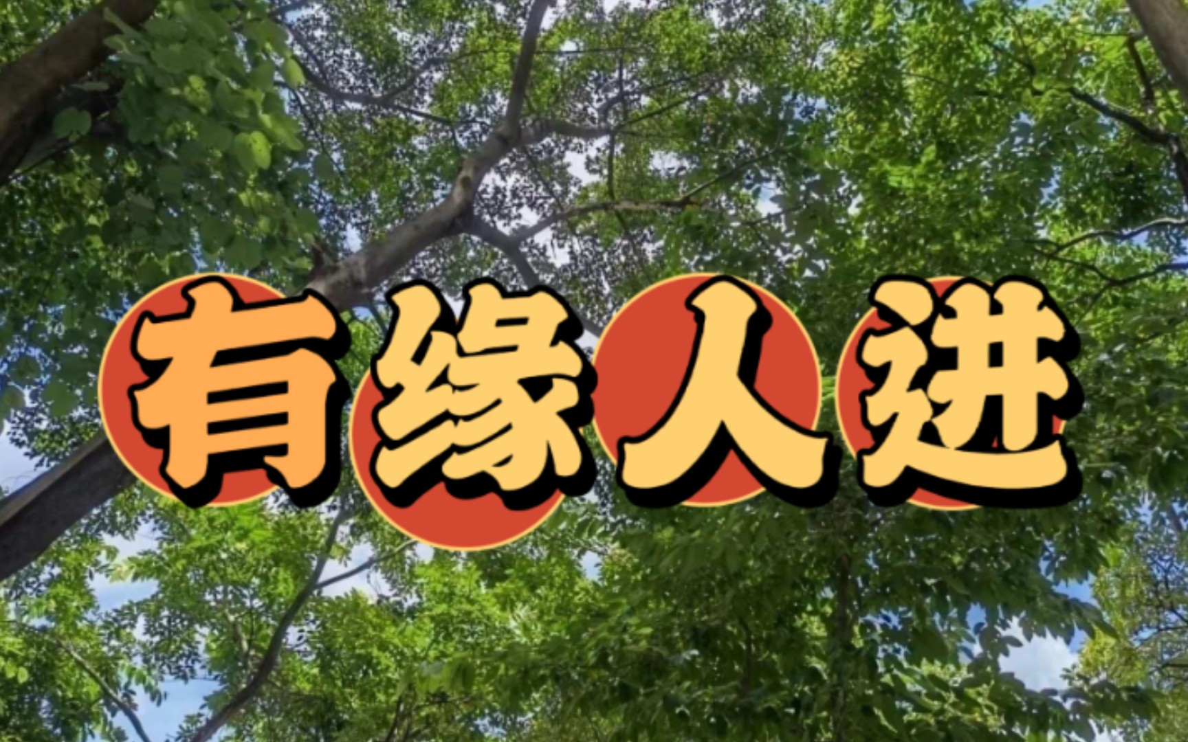 有缘人进【般般塔罗·大众占卜】