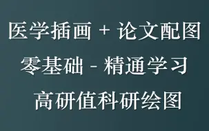 Download Video: 医学插画+论文配图 科研插画+配图 零基础-精通学习班 高研值科研绘图（私信UP领全部视频+资料包）