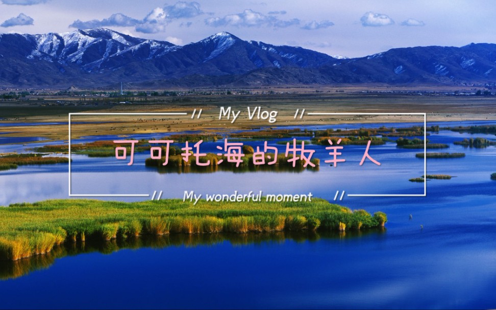 可可托海的牧羊人女主角是谁 可可托海的牧羊人女主角是谁D