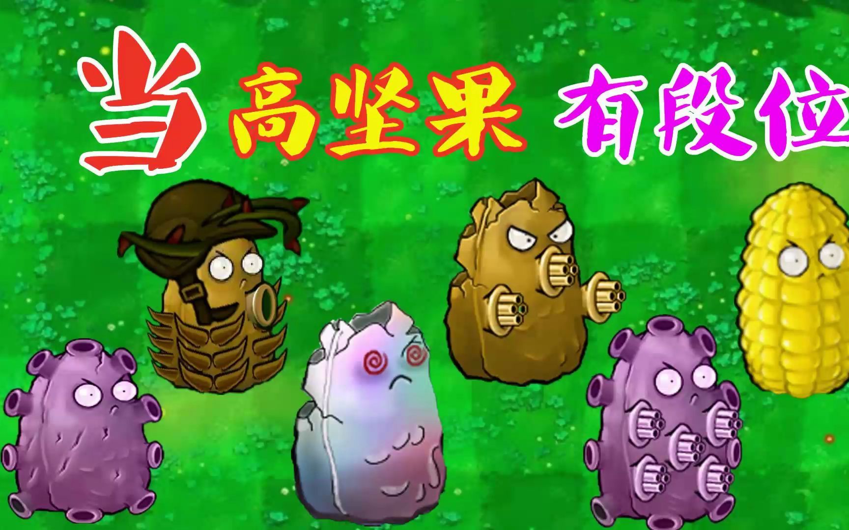 植物大战僵尸:当高坚果有了段位!高坚玉米果:碰我一下就炸你!