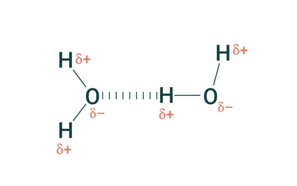 氢键的性质Hydrogen bonding in water哔哩哔哩bilibili