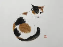 Download Video: 画只漂亮的三花猫 国画猫咪的画法