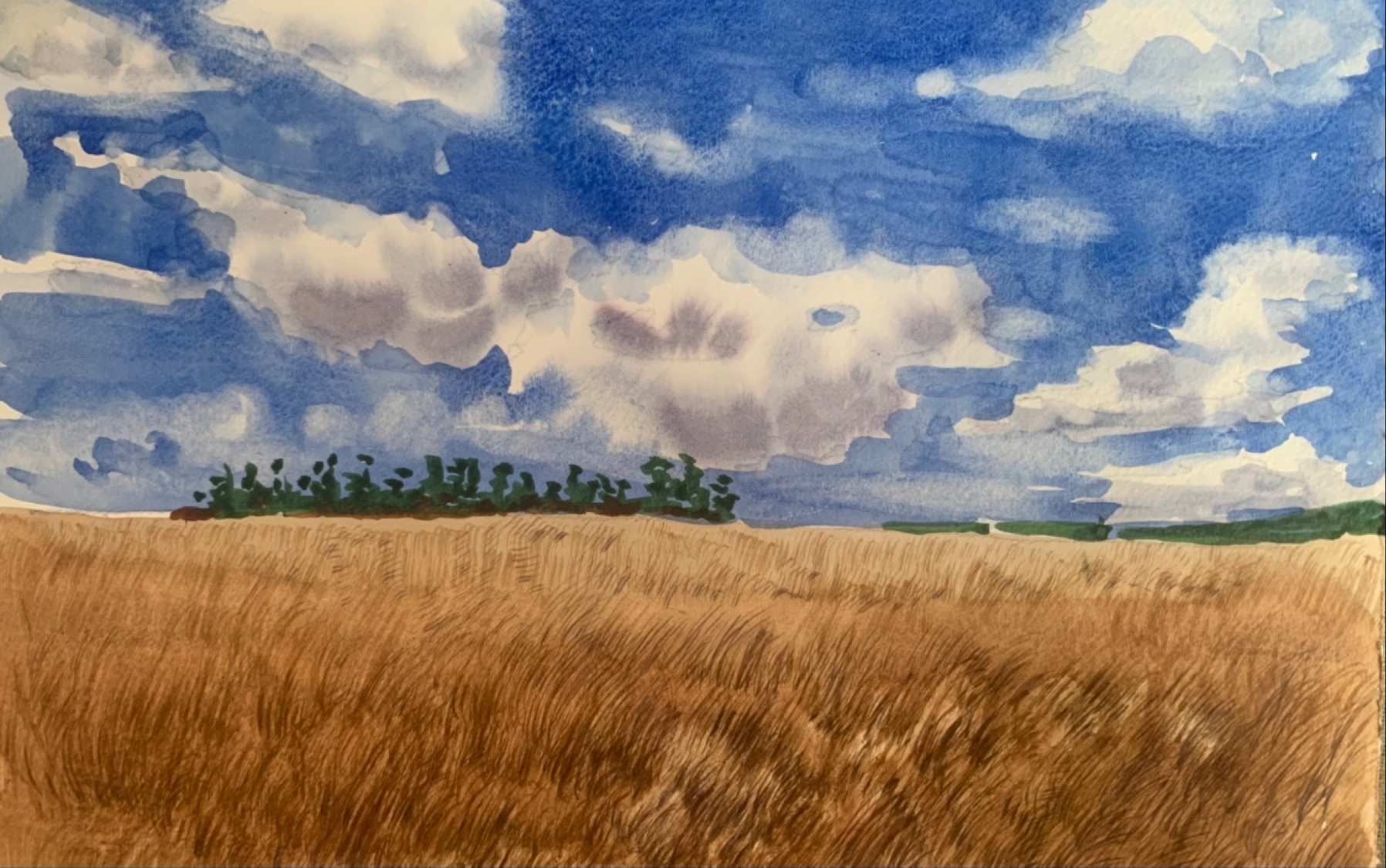 水彩 蓝天白云 稻田