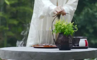 中国茶原创短视频第集《九华禅茶清青茶心》