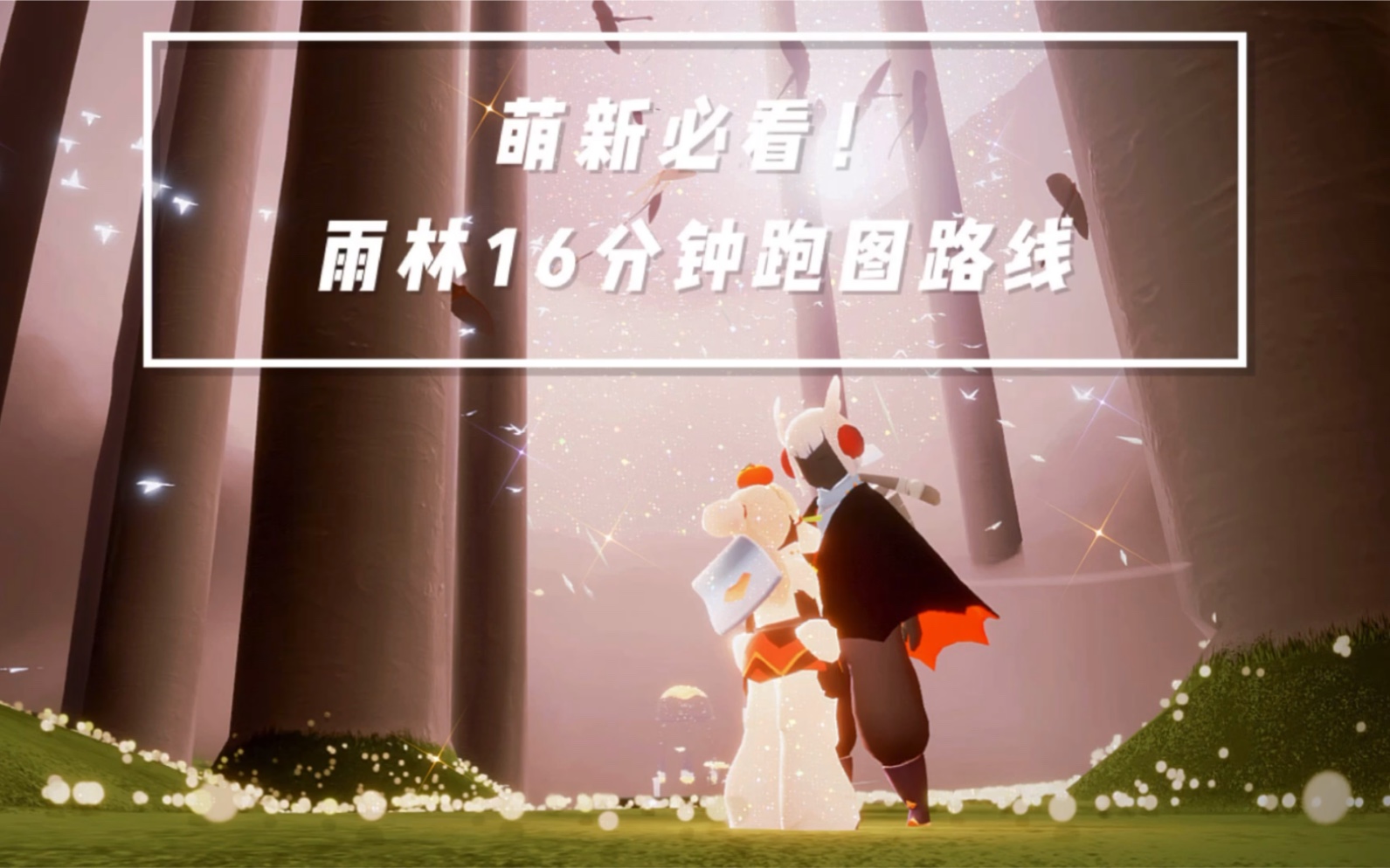 光遇萌新必看雨林16分钟跑图路线