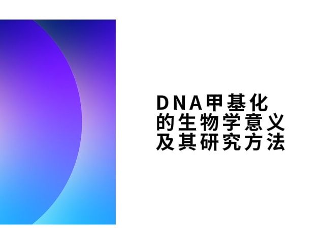 DNA甲基化的生物学意义及其研究方法哔哩哔哩bilibili