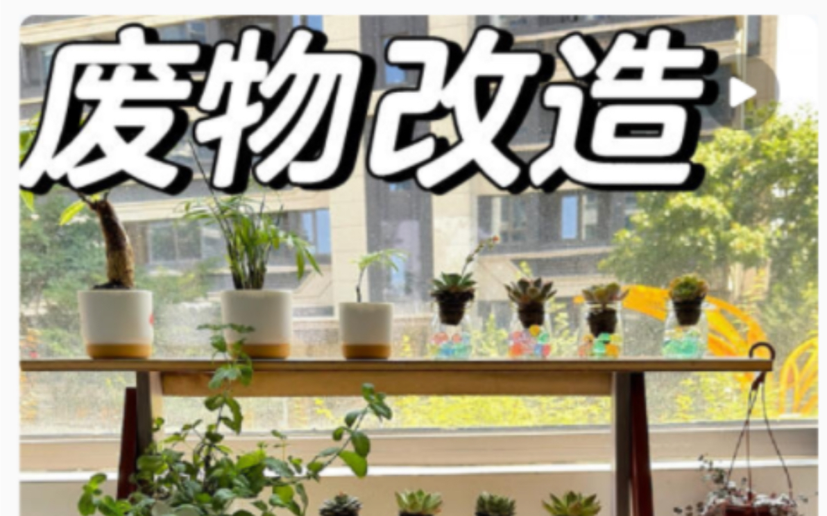 0成本DIY花架!我又又又捡垃圾了!哔哩哔哩bilibili