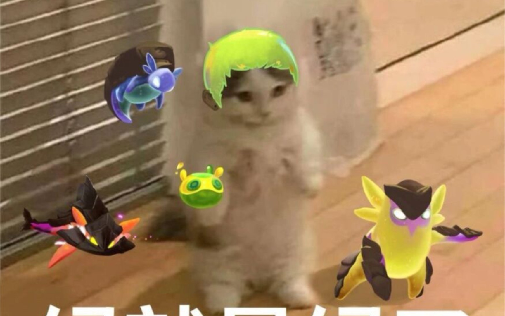 睿智黑铁宝可梦大师盖可与小精灵们的脑瘫五杀盛宴