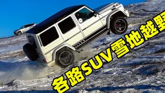 各路SUV雪地越野对比，奔驰大G、路虎揽胜和兰德酷路泽，究竟谁更强？