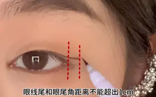 Descargar video: 内双肿泡眼眼线画法 简单明了