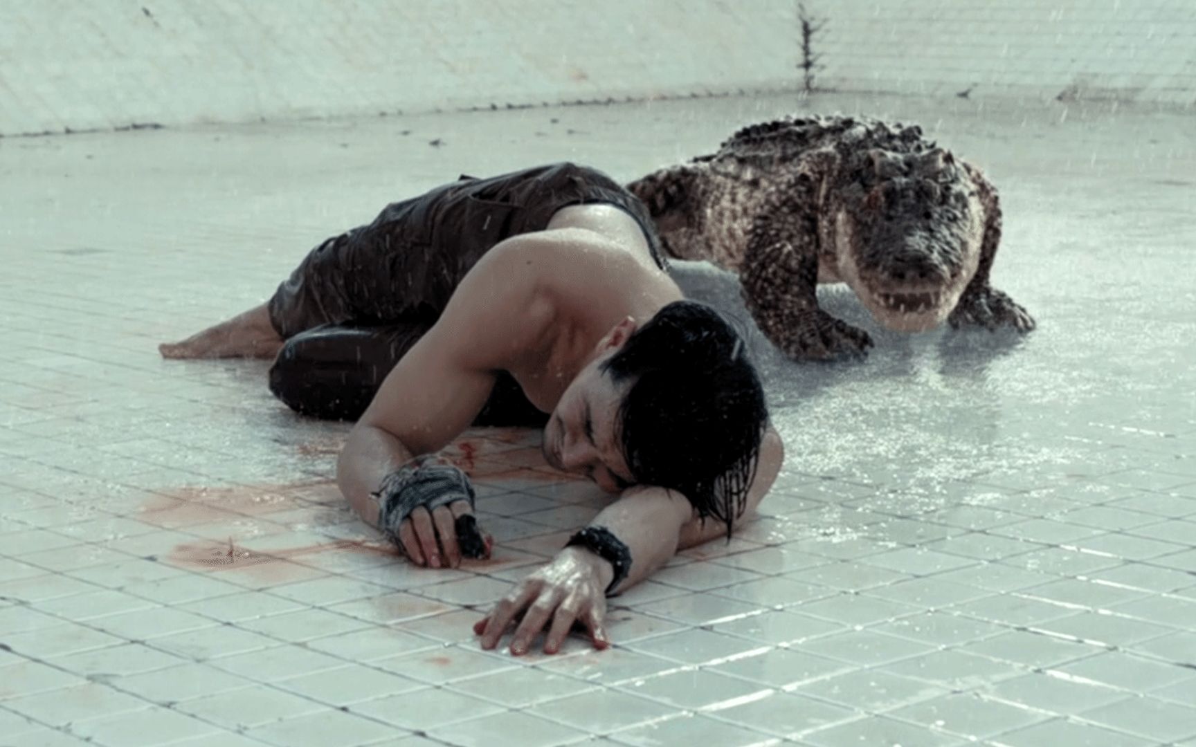 《鳄口逃生》小伙掉进6米高的泳池内,还遇到了一条鳄鱼,咋办?