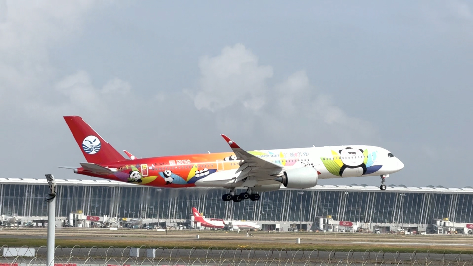 川航a350两架熊猫彩绘降落上海浦东机场,国内最好看的彩绘飞机