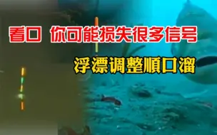 Tải video: 钓鱼看口，你可能损失了很多信号，浮漂调整顺口溜