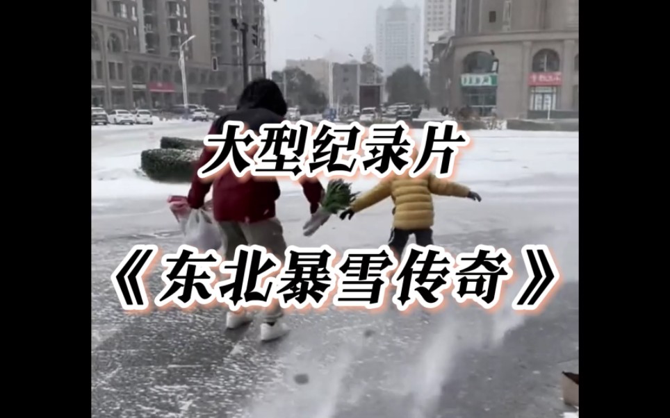 [图]大型纪录片《东北暴雪传奇 》持续为你播出 ！