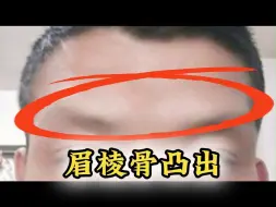 Descargar video: 识人有术，眉棱骨凸出