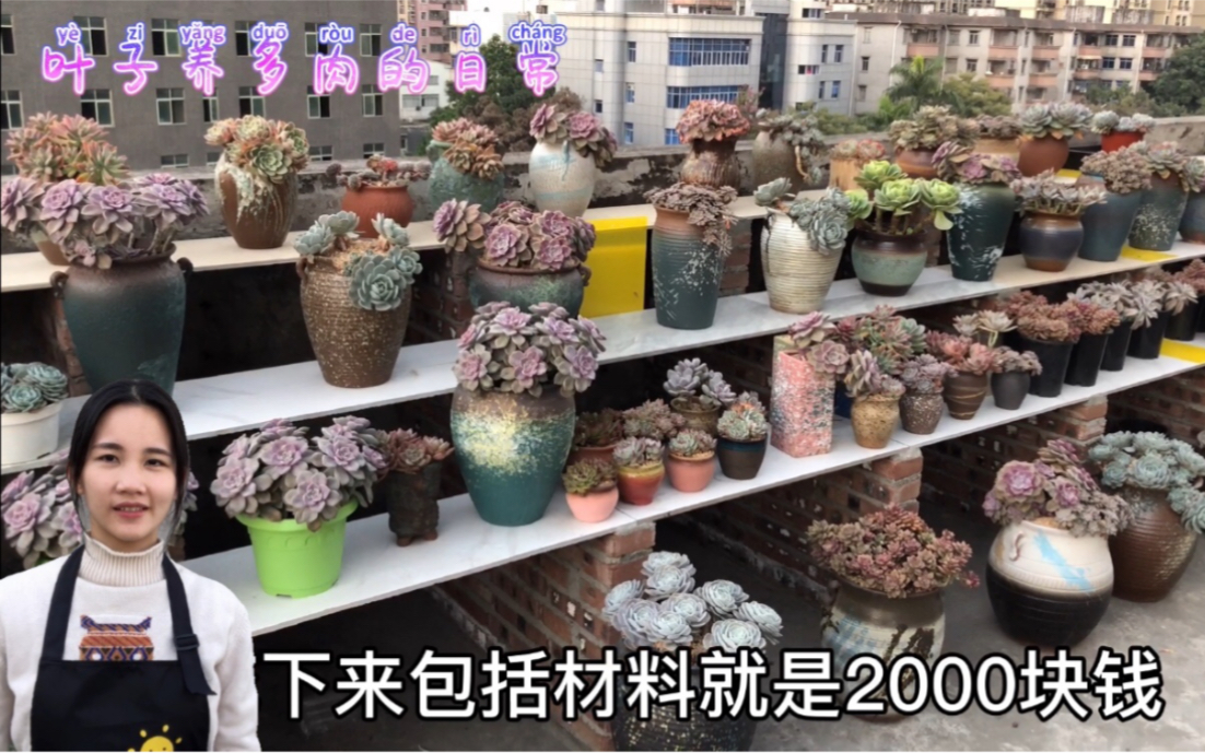 叶子花2000块砌的花架,承重如何,能放大花盆吗,会断吗?哔哩哔哩bilibili