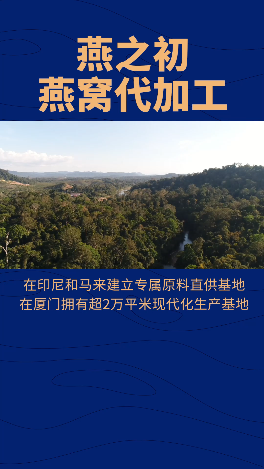 燕之初燕窝代工在厦门拥有2万平的生产基地哔哩哔哩bilibili