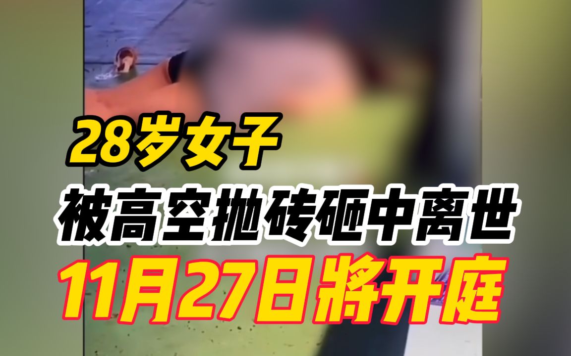 28岁女子被高空抛砖砸中离世,11月27日将开庭哔哩哔哩bilibili