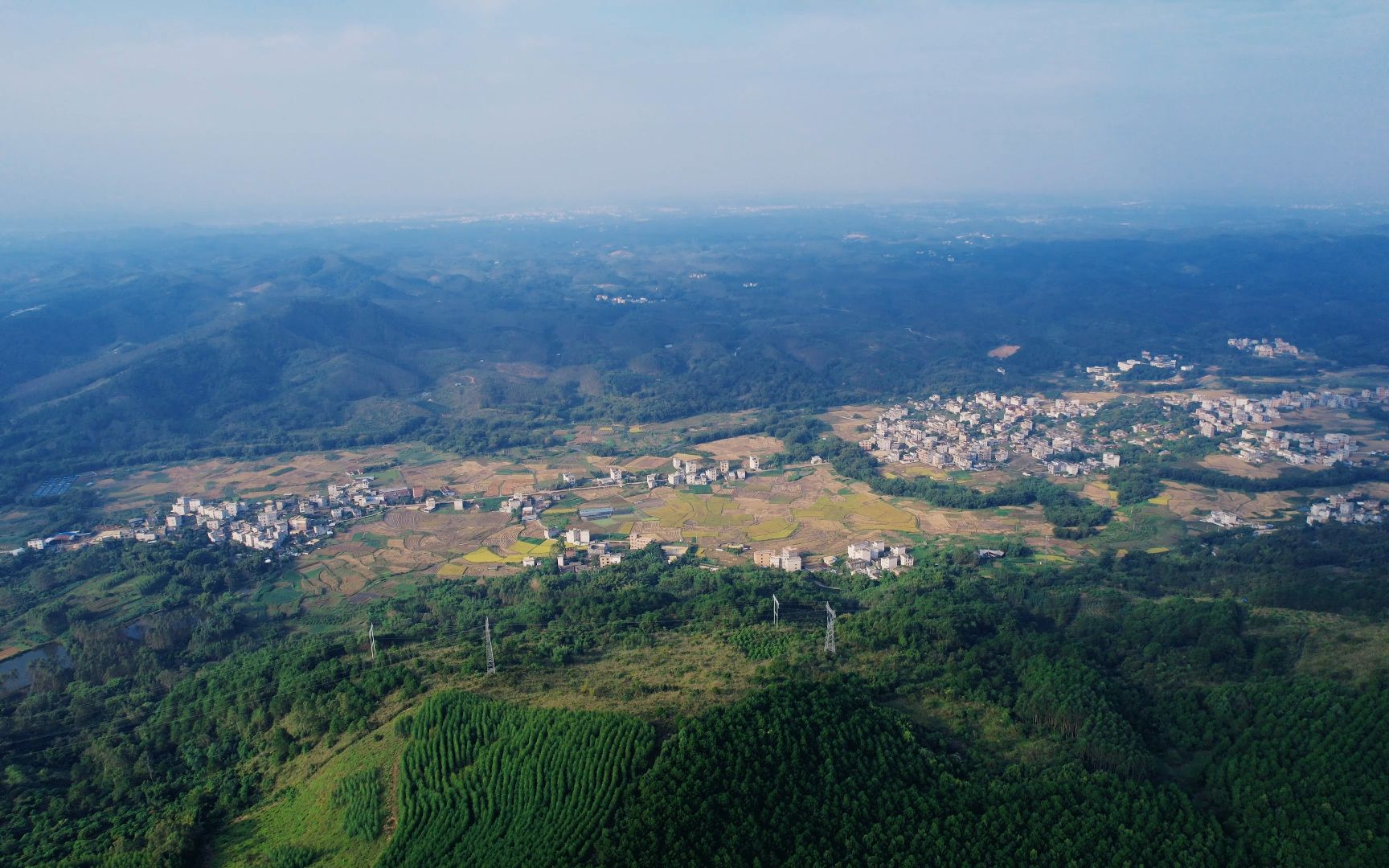 平南生态公园的景色图片