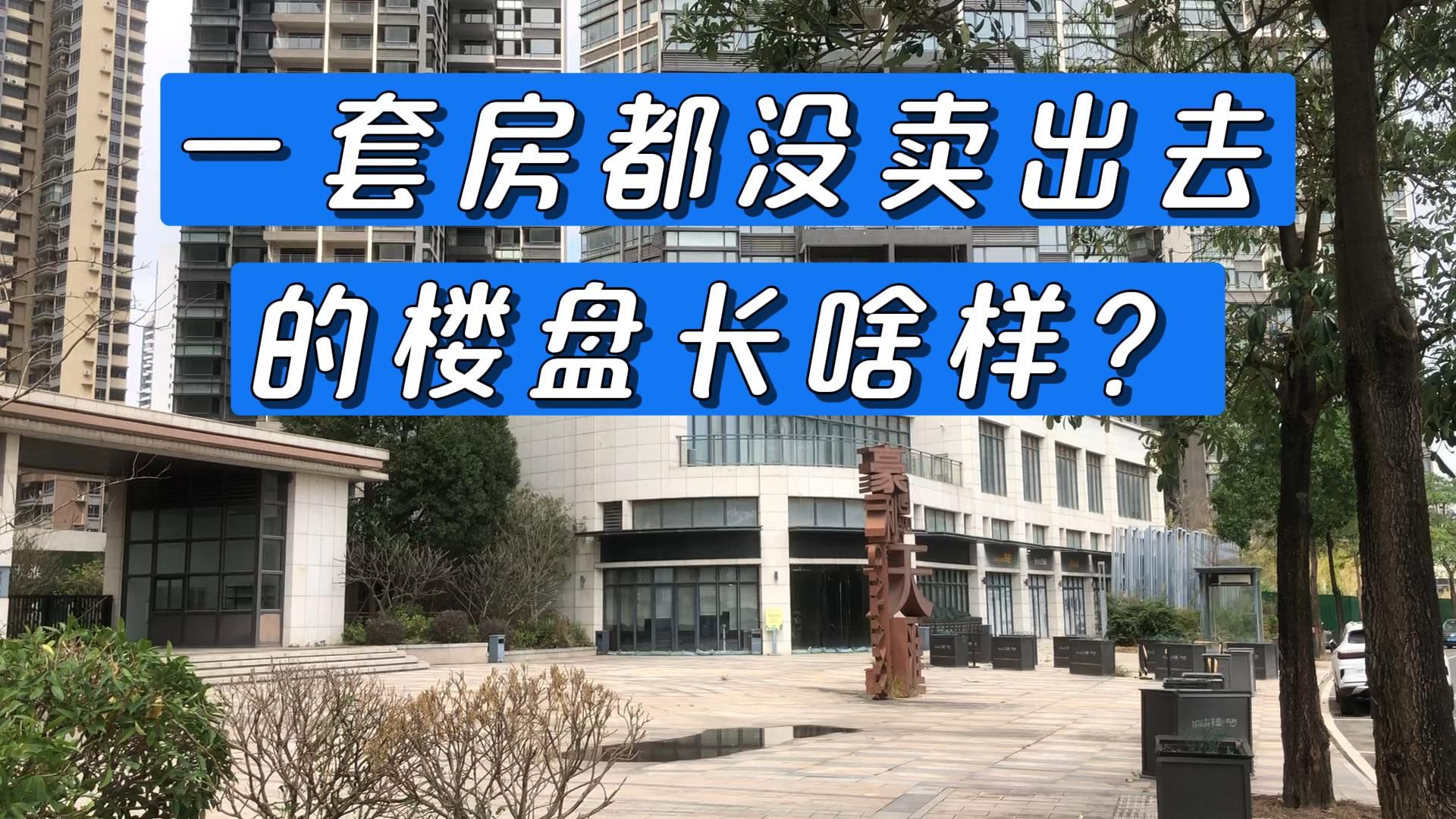 临深惠州一套房都没有卖出去的新楼盘,啥情况?哔哩哔哩bilibili