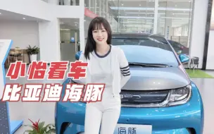 Télécharger la video: 小怡看车：比亚迪海豚静态体验