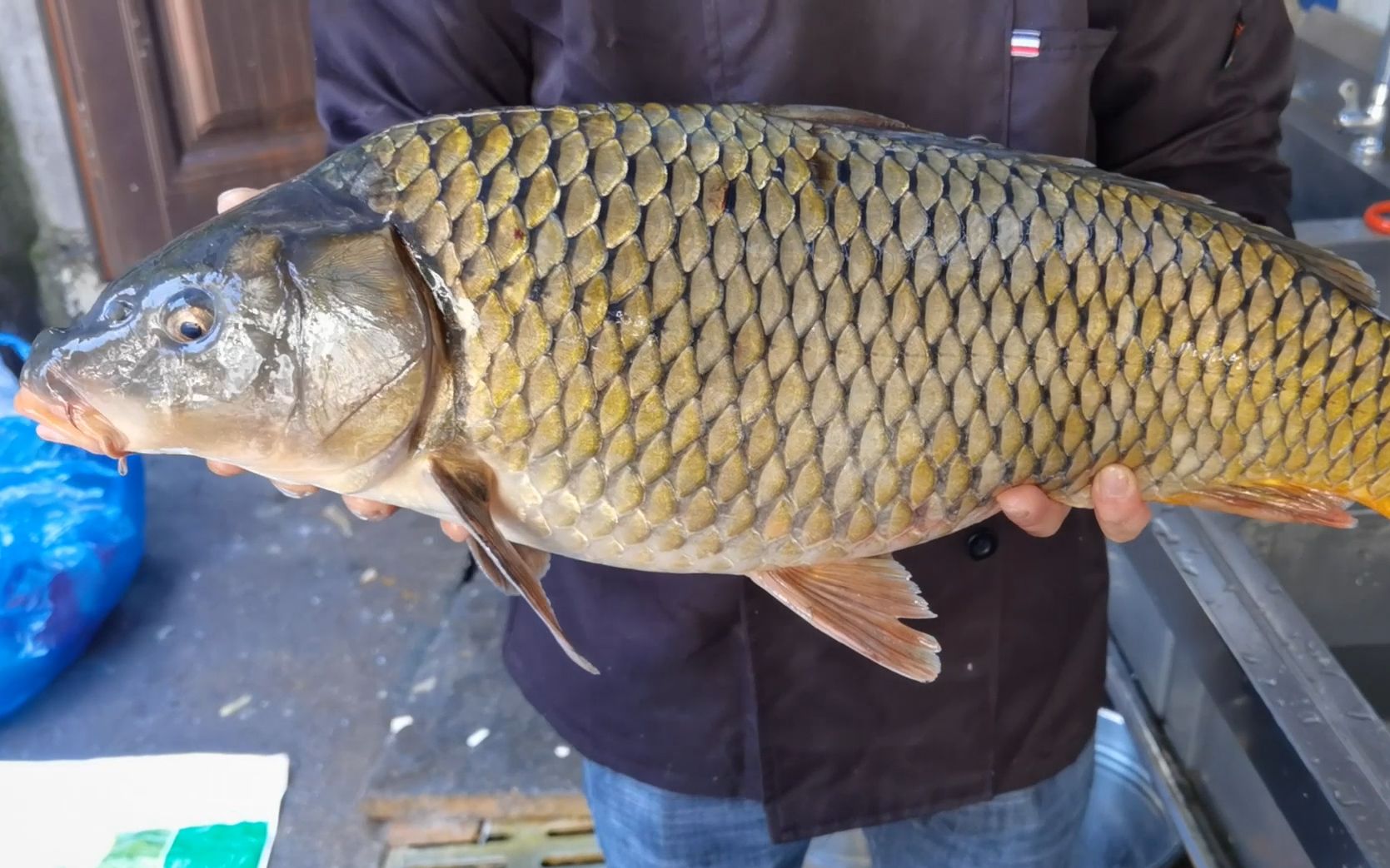 厨子收来一条十斤大鲤鱼,处理的场面堪称壮观,最后来个一鱼三吃_哔哩