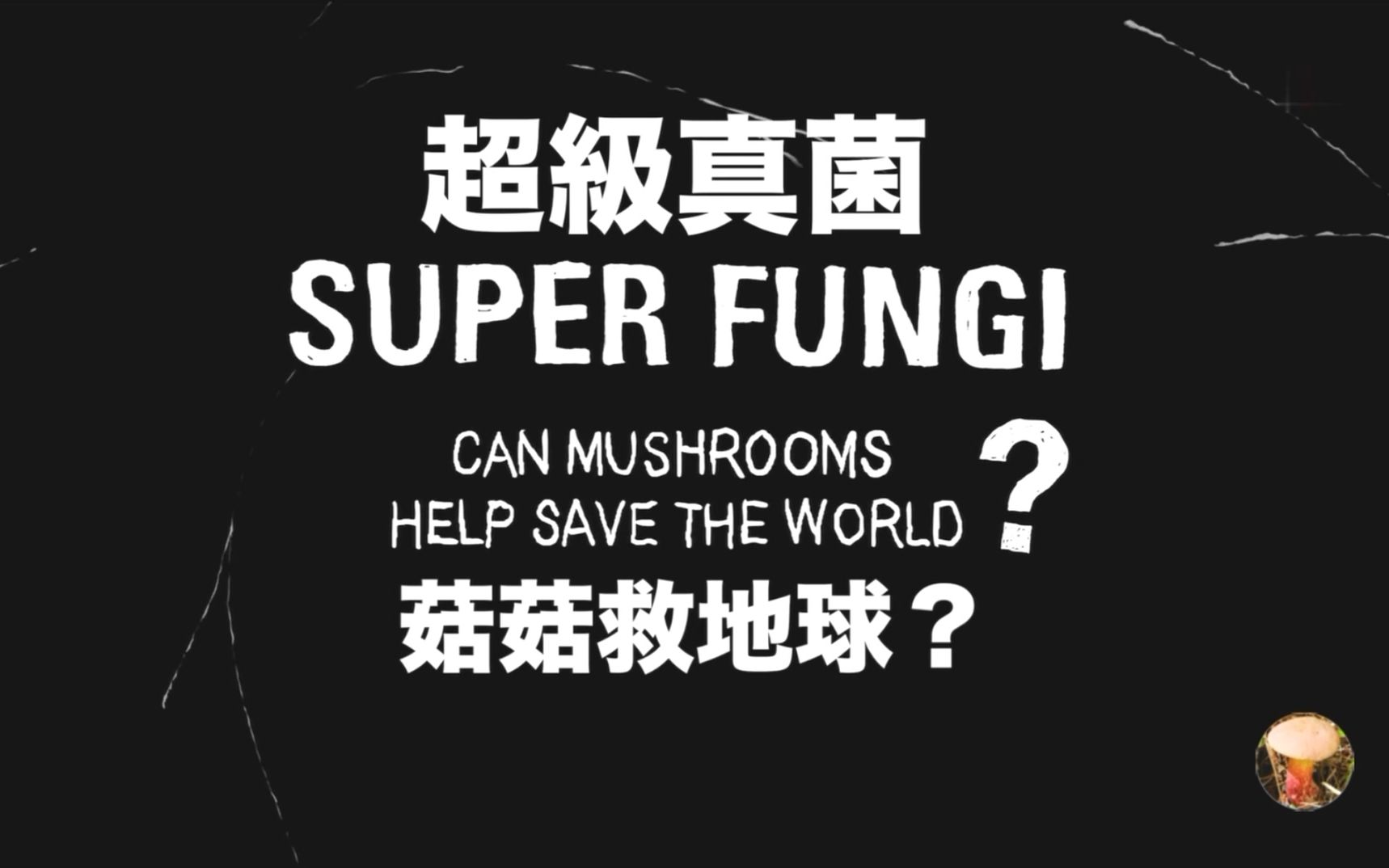 [图]超级真菌 Super Fungi 1080P 英语中字