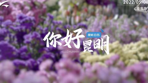 视听日历 5月8日你好昆明 送妈妈一朵 昆明花 哔哩哔哩